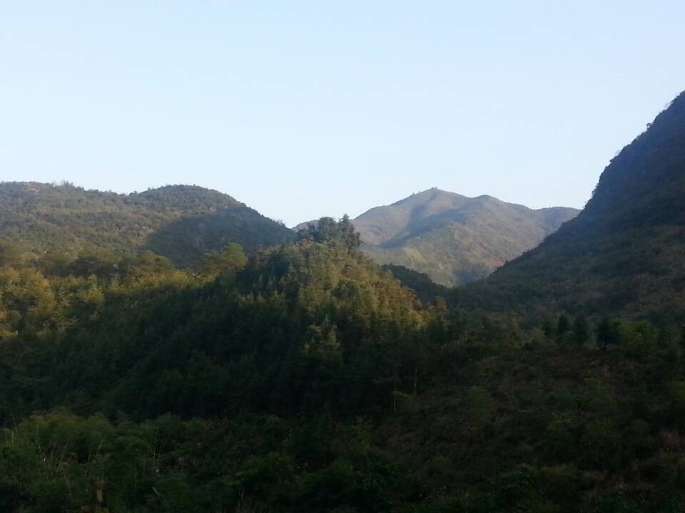 图文直播：520社区 挺进观音水滨盘王节纪实跟踪报道717 / 作者:椪柑 / 帖子ID:97576