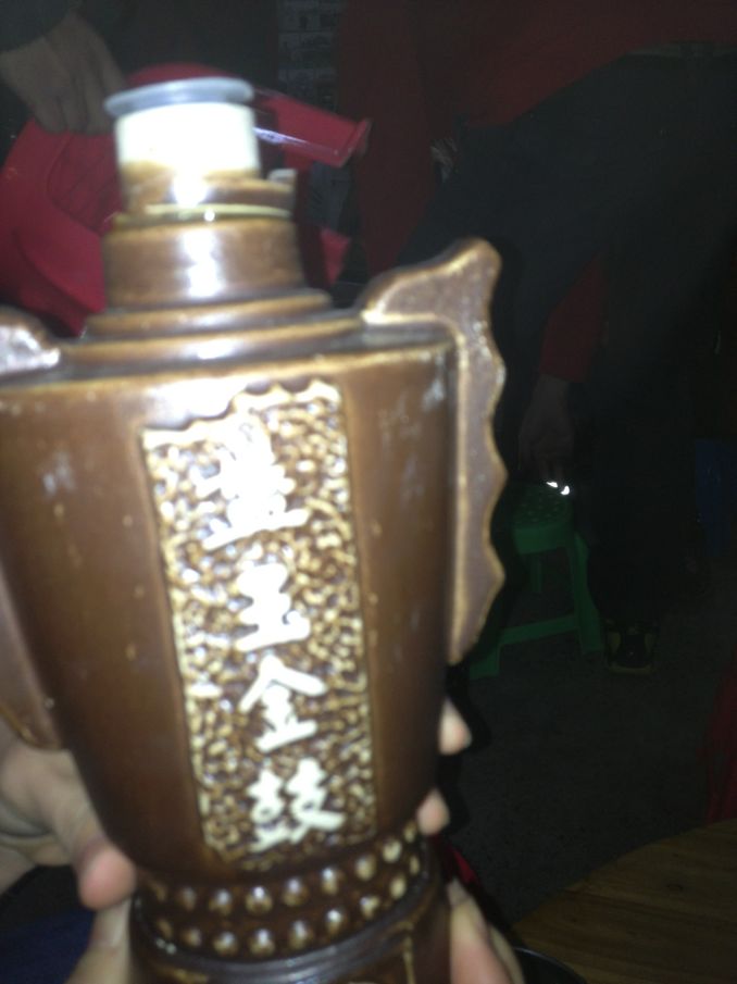 图文直播：520社区 挺进观音水滨盘王节纪实跟踪报道229 / 作者:悠悠亲情 / 帖子ID:97576