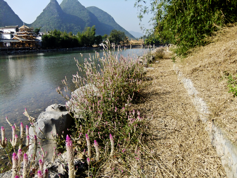 平安社山：复兴旅游能否实现？91 / 作者:瑶仁 / 帖子ID:97564