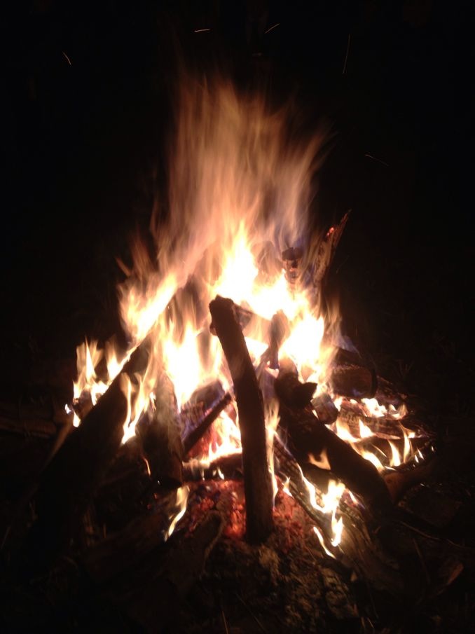 图文直播：520社区 挺进观音水滨盘王节纪实跟踪报道736 / 作者:悠悠亲情 / 帖子ID:97576