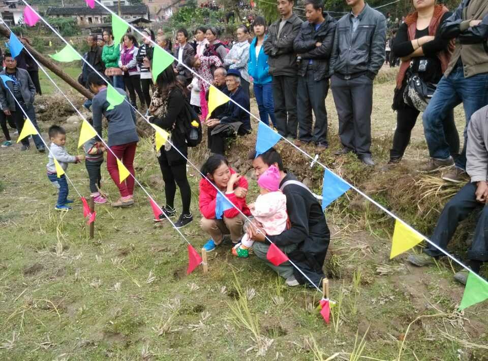 图文直播：520社区 挺进观音水滨盘王节纪实跟踪报道449 / 作者:麗児mmmmm / 帖子ID:97576