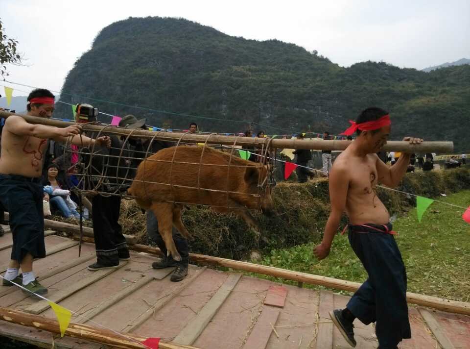 图文直播：520社区 挺进观音水滨盘王节纪实跟踪报道654 / 作者:麗児mmmmm / 帖子ID:97576