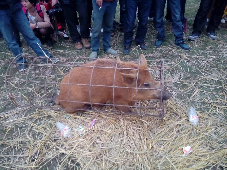 图文直播：520社区 挺进观音水滨盘王节纪实跟踪报道258 / 作者:麗児mmmmm / 帖子ID:97576