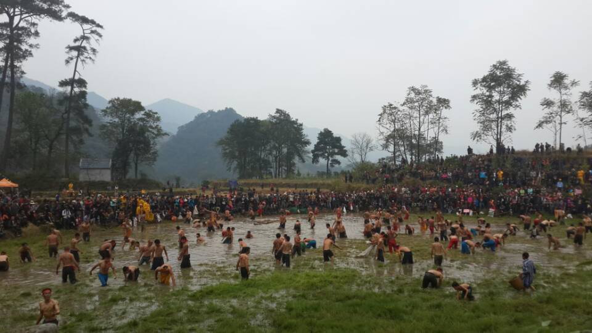 图文直播：520社区 挺进观音水滨盘王节纪实跟踪报道574 / 作者:最冷一天＂ / 帖子ID:97576