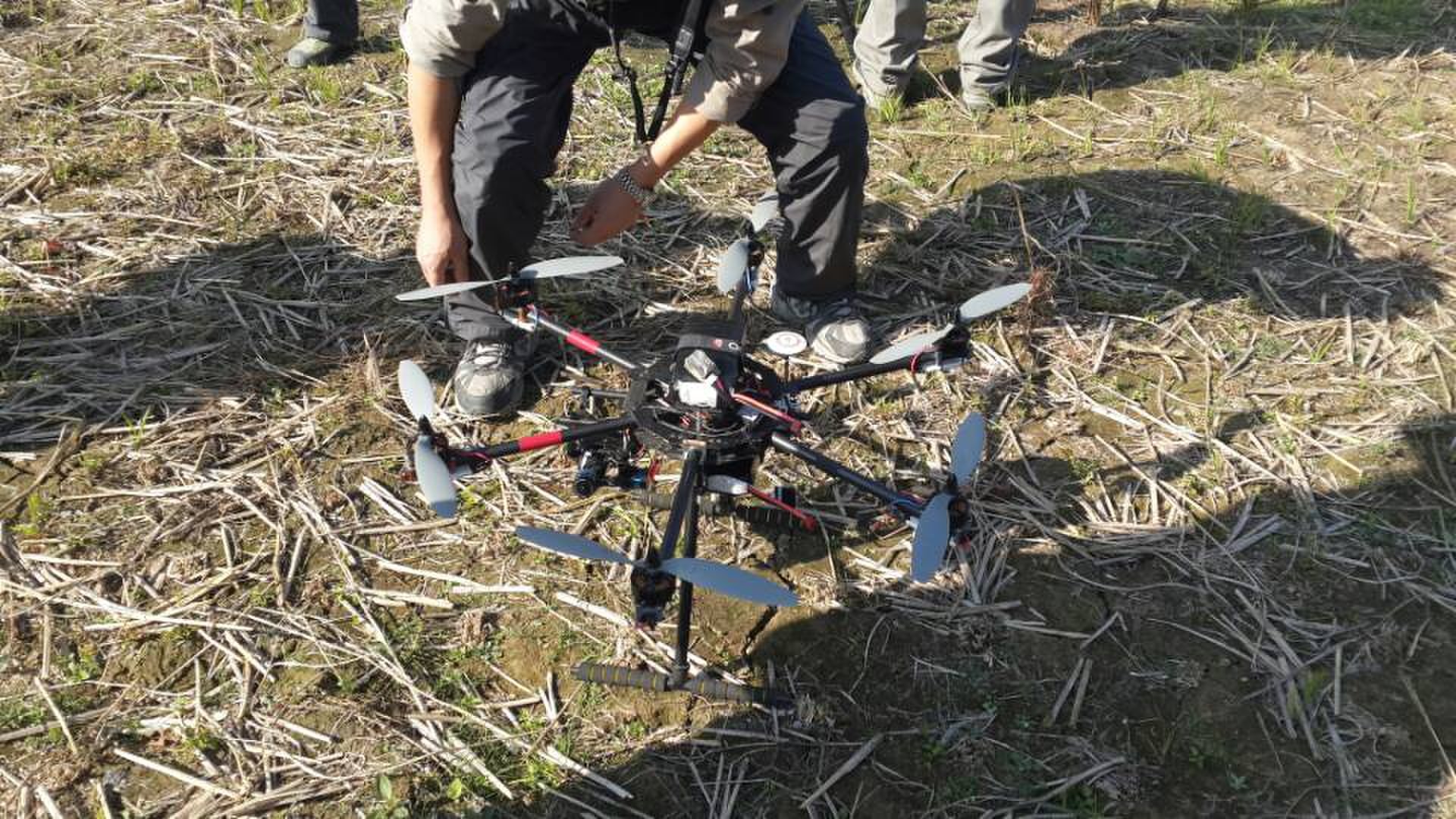 图文直播：520社区 挺进观音水滨盘王节纪实跟踪报道561 / 作者:最冷一天＂ / 帖子ID:97576