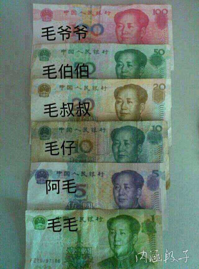 毛毛，我现在只剩下你了。485 / 作者:罗少爷 / 帖子ID:97675