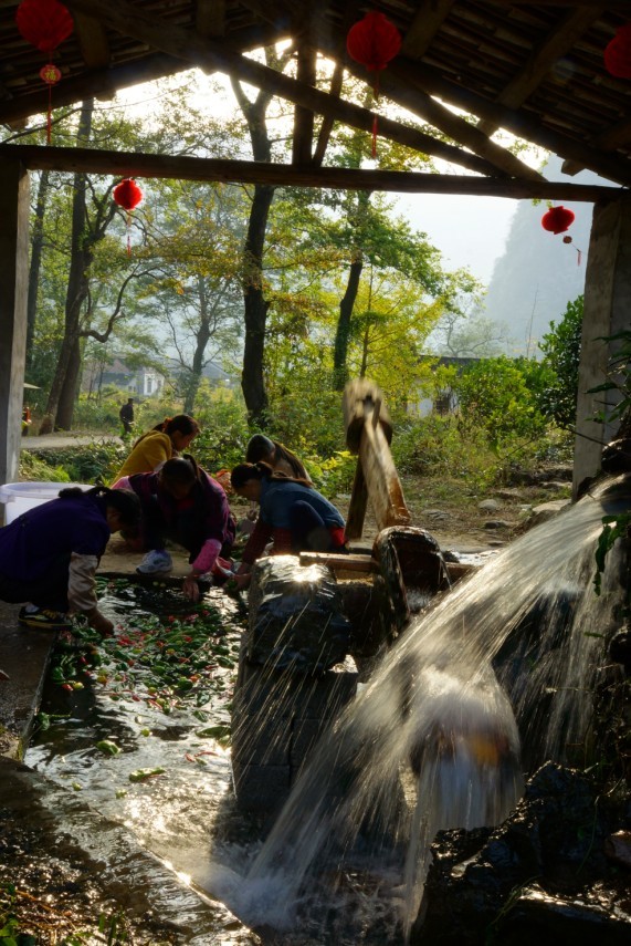 图文直播：520社区 挺进观音水滨盘王节纪实跟踪报道303 / 作者:benben195 / 帖子ID:97576