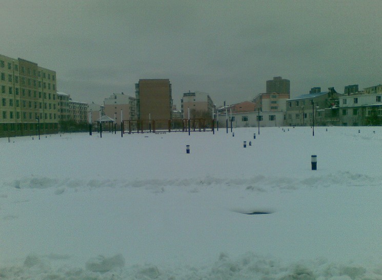 四天三夜的雪13 / 作者:马路桥~八区 / 帖子ID:97696