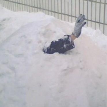 四天三夜的雪437 / 作者:马路桥~八区 / 帖子ID:97696