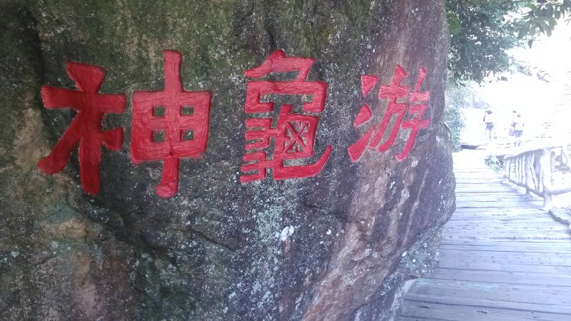 续  增城之旅361 / 作者:__小丑鱼 / 帖子ID:97714