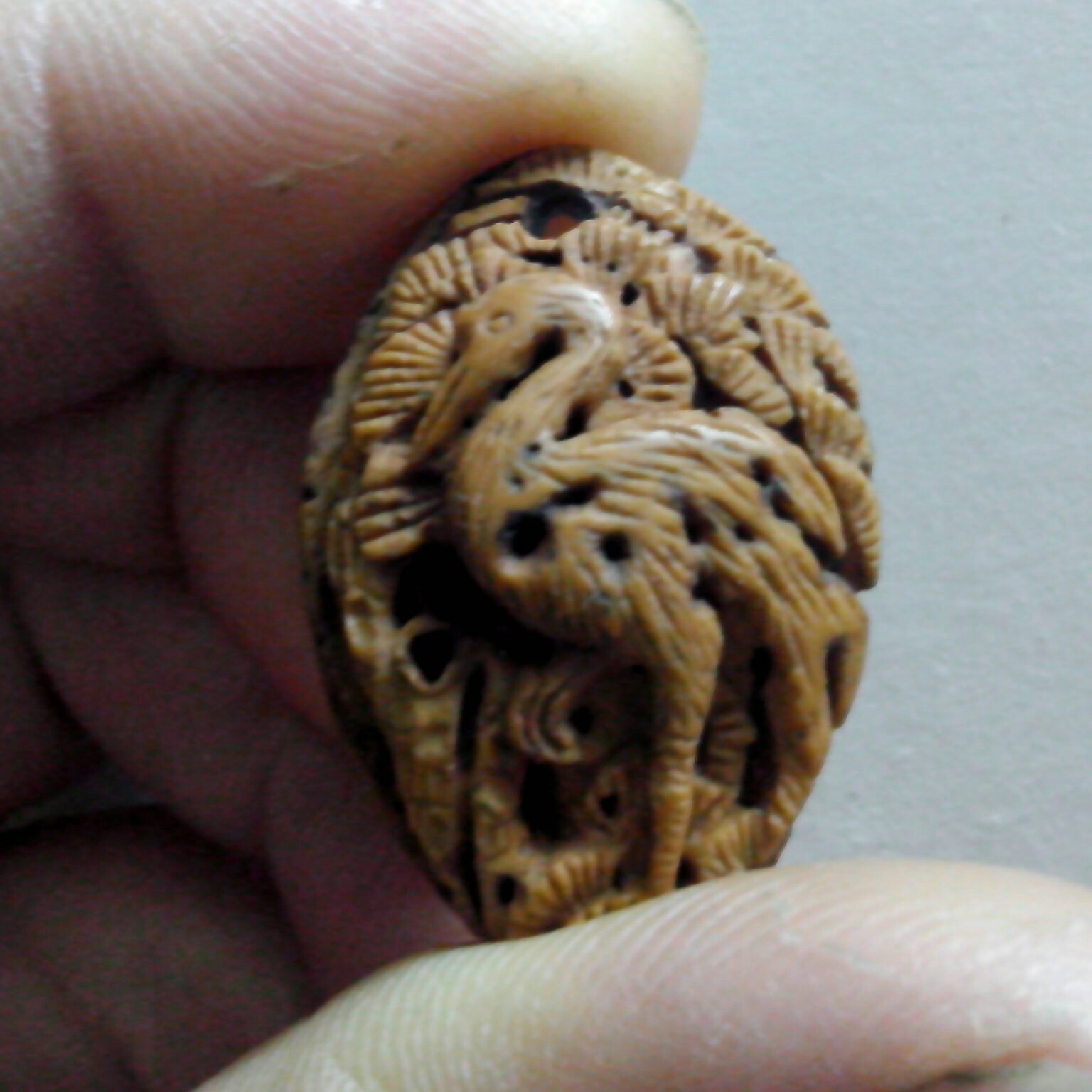 桃核随形雕了两只鸟！677 / 作者:排散 / 帖子ID:97778