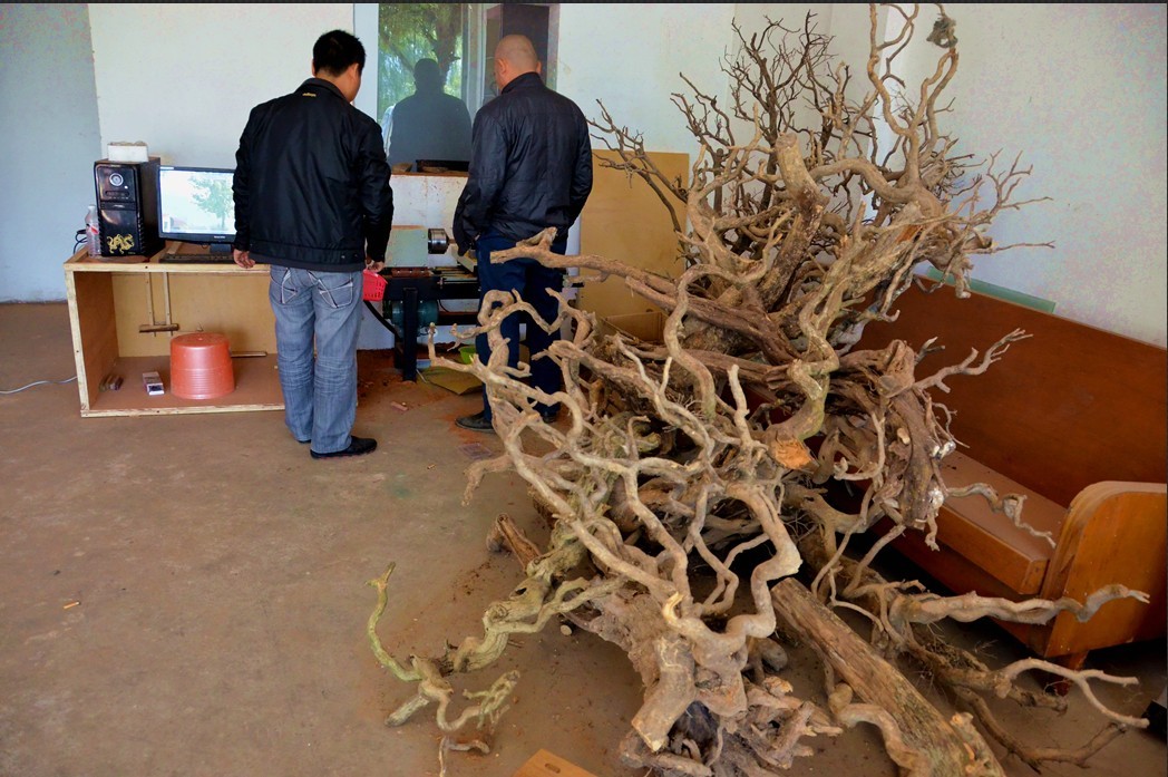 瑶艺坊开工了 ！！专业数控佛珠机已到，各位老板可以来打珠子了。552 / 作者:星想事成 / 帖子ID:97832