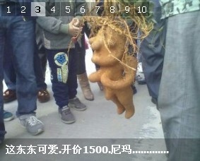 这东东可爱.开价1500.尼玛.............625 / 作者:萝卜酸送粥 / 帖子ID:98761