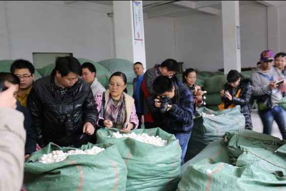 恭城520社区受盛情邀请参加“缘来是蒙山”八桂友情网媒活动，游太平天国封王建制地..195 / 作者:以色会友 / 帖子ID:98782