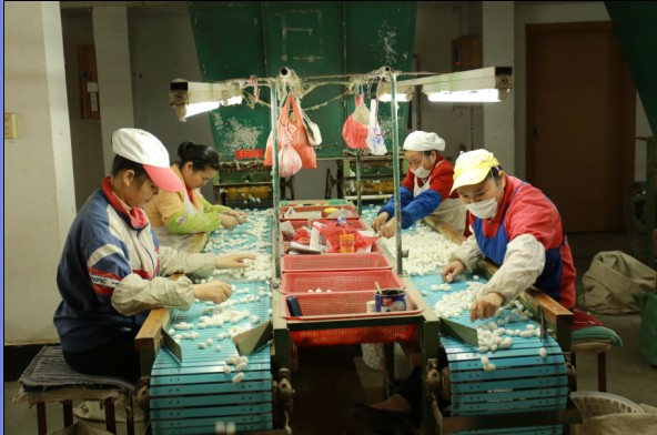 恭城520社区受盛情邀请参加“缘来是蒙山”八桂友情网媒活动，游太平天国封王建制地..945 / 作者:以色会友 / 帖子ID:98782