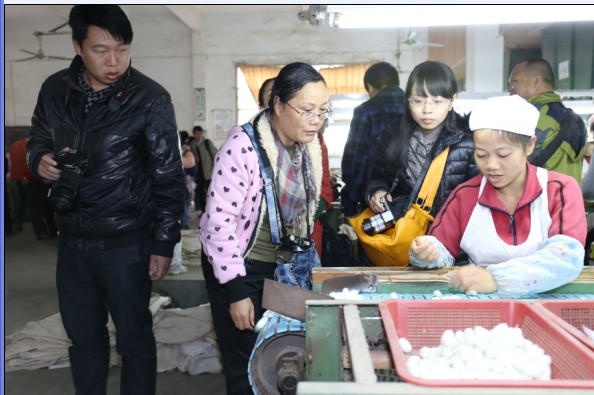恭城520社区受盛情邀请参加“缘来是蒙山”八桂友情网媒活动，游太平天国封王建制地..638 / 作者:以色会友 / 帖子ID:98782