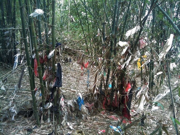 关注恭城环保：恭城乡村这样的现象还有多少？241 / 作者:ssql / 帖子ID:96100