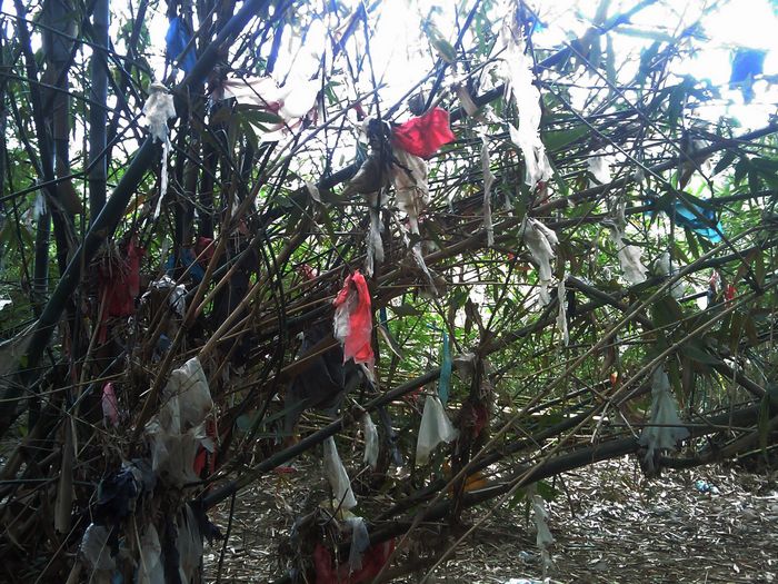 关注恭城环保：恭城乡村这样的现象还有多少？44 / 作者:ssql / 帖子ID:96100