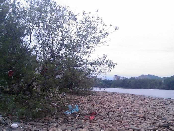 关注恭城环保：恭城乡村这样的现象还有多少？16 / 作者:ssql / 帖子ID:96100