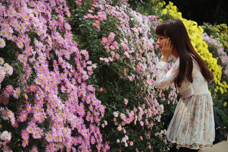 佳能EOS650D457 / 作者:Them / 帖子ID:99169