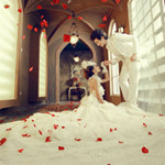 ╰︶￣丶梦中的婚礼。907 / 作者:麗児mmmmm / 帖子ID:99209