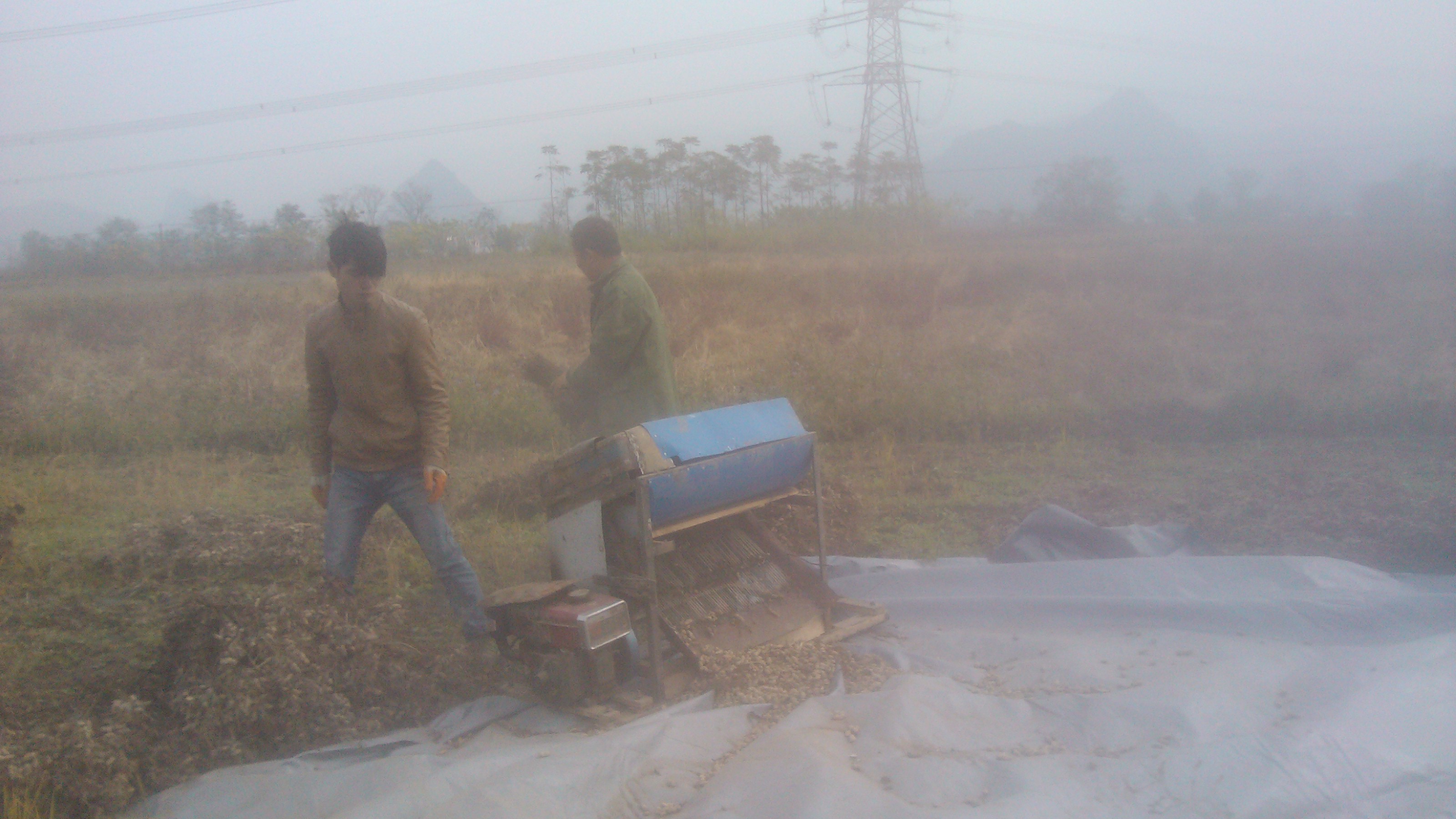 今天。。。。摘花生587 / 作者:虚伪鉽谈情 / 帖子ID:99283