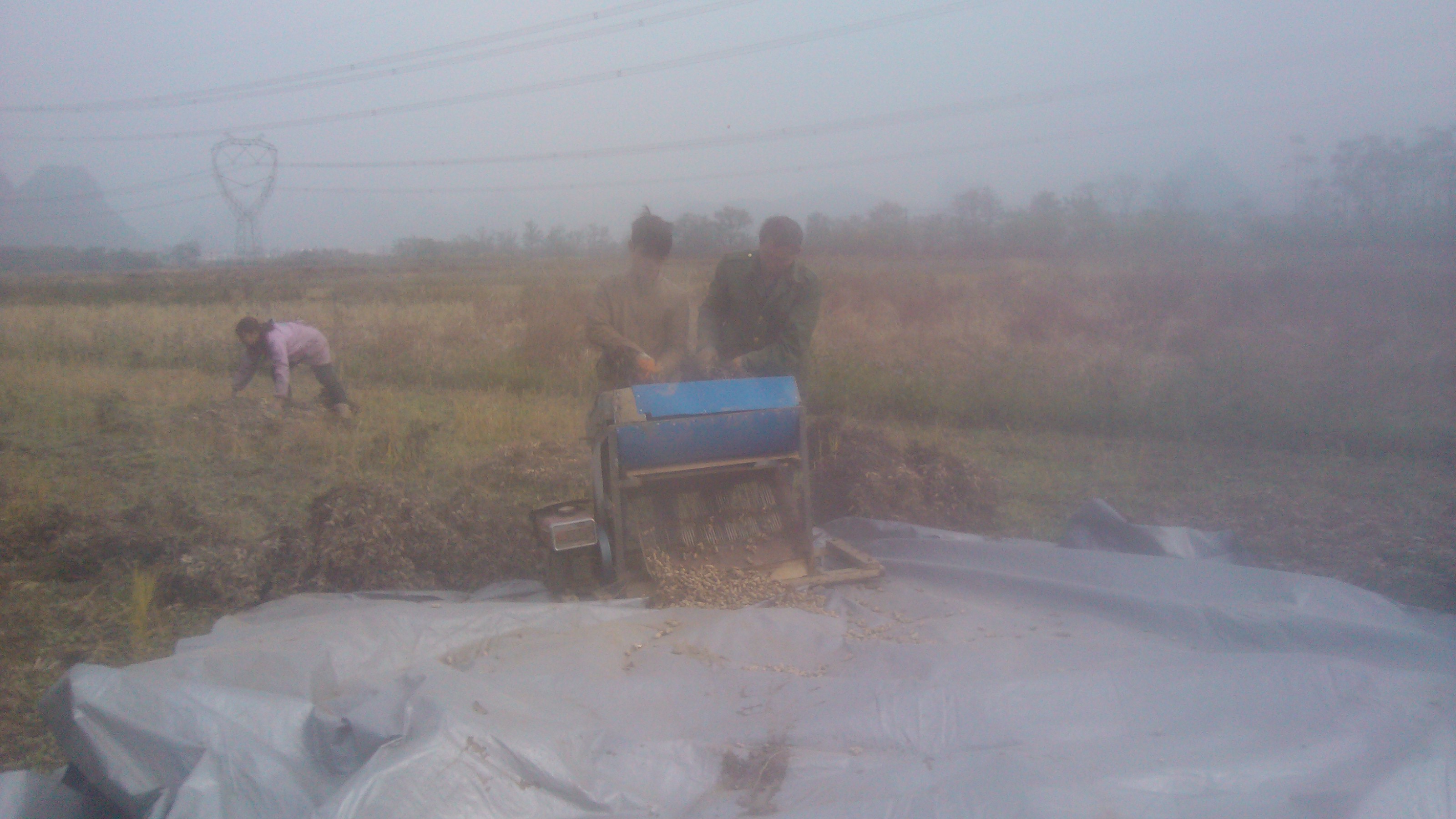 今天。。。。摘花生820 / 作者:虚伪鉽谈情 / 帖子ID:99283