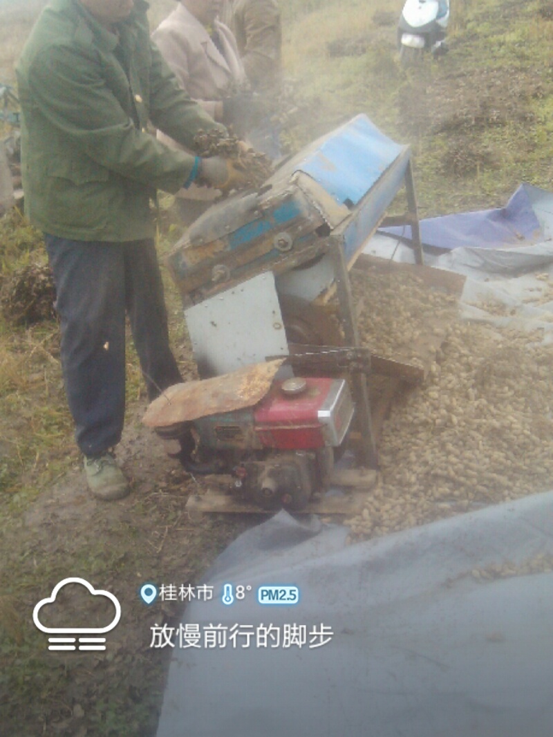 今天。。。。摘花生839 / 作者:虚伪鉽谈情 / 帖子ID:99283