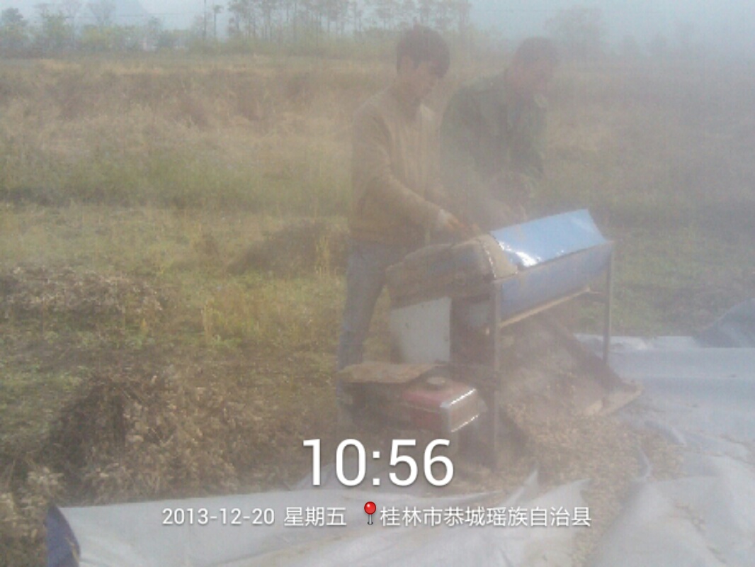 今天。。。。摘花生872 / 作者:虚伪鉽谈情 / 帖子ID:99283