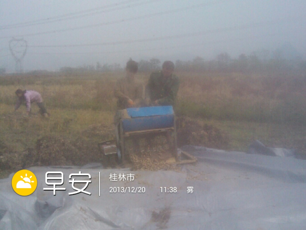 今天。。。。摘花生768 / 作者:虚伪鉽谈情 / 帖子ID:99283