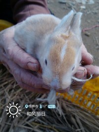 这小兔子可爱不341 / 作者:虚伪鉽谈情 / 帖子ID:99314
