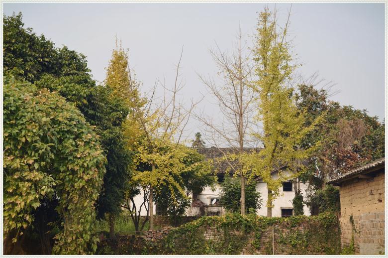 【古建遗珠北辰串】系列之——栗木常家：开平王韵今犹在 五百风霜笑东风614 / 作者:北辰 / 帖子ID:99331