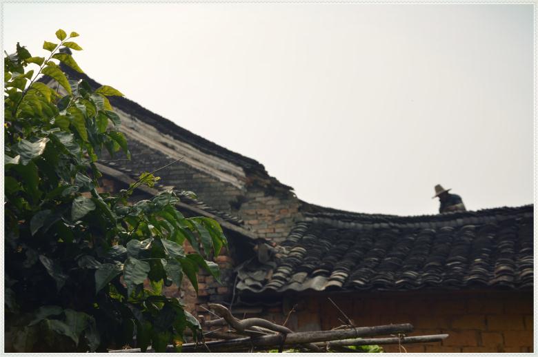 【古建遗珠北辰串】系列之——栗木常家：开平王韵今犹在 五百风霜笑东风838 / 作者:北辰 / 帖子ID:99331