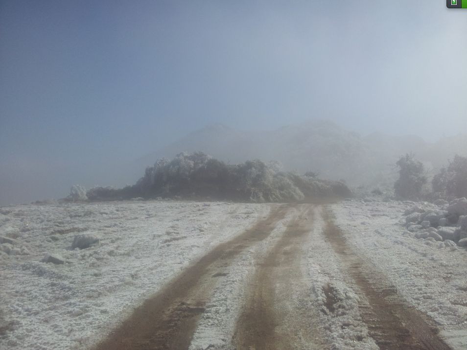 2013加会大山雪景355 / 作者:李腾 / 帖子ID:99369