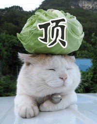 一年的时光能让人有多大改变997 / 作者:恭城无聊人 / 帖子ID:97824