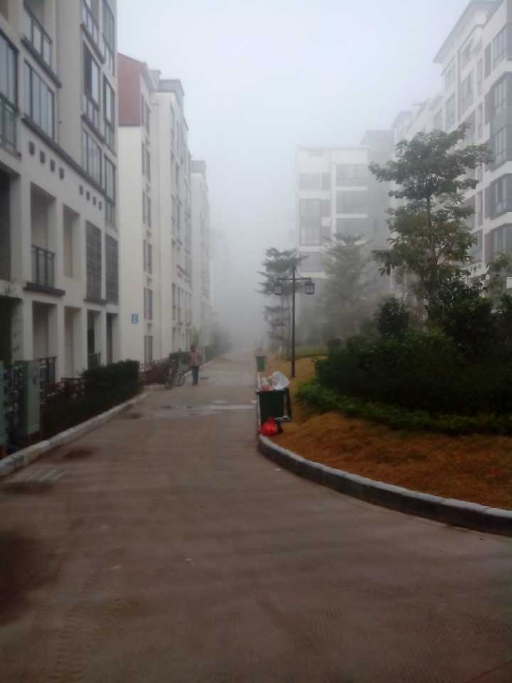 恭城今晨出现罕见大雾天气955 / 作者:椪柑 / 帖子ID:99727