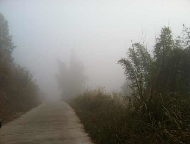 恭城今晨出现罕见大雾天气133 / 作者:椪柑 / 帖子ID:99727