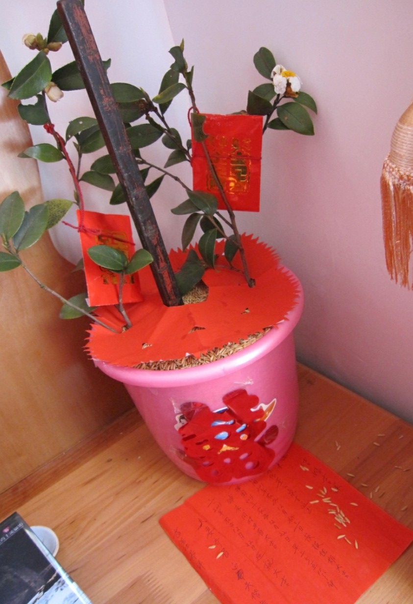 瑶乡喜事628 / 作者:北辰 / 帖子ID:99891