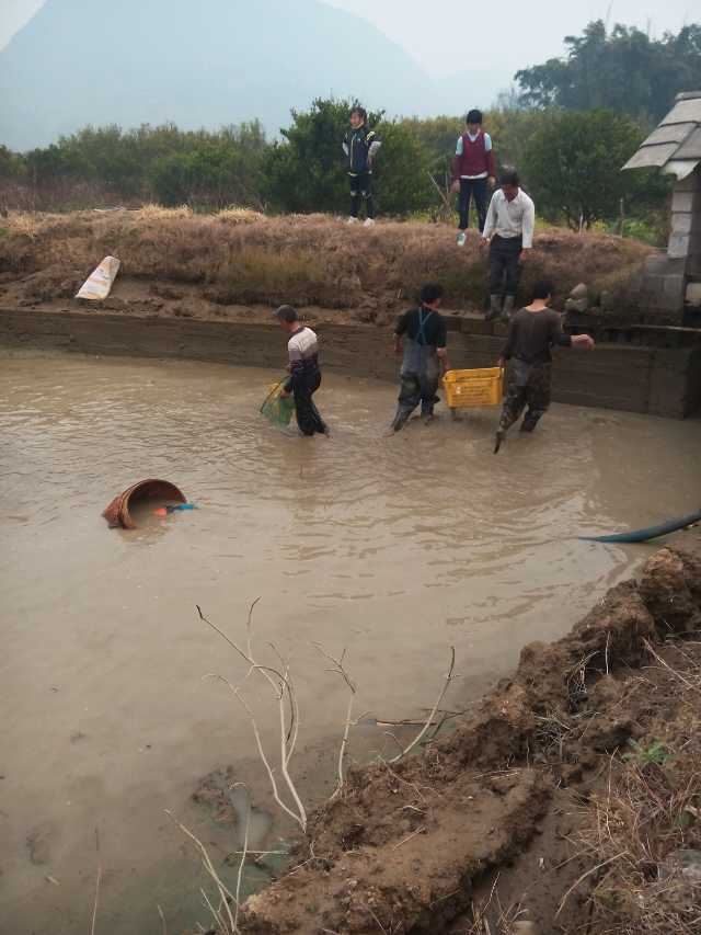 浑水摸鱼---前来签到736 / 作者:訫懐梦想 / 帖子ID:99929