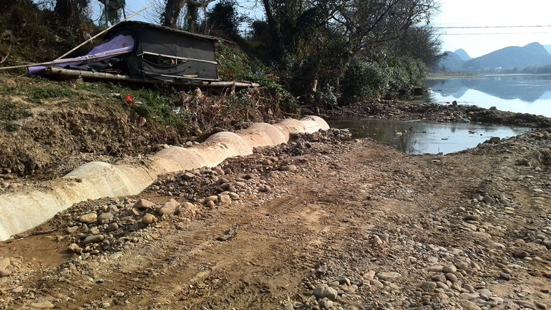 嘉会河里惊现死猪941 / 作者:Fysm / 帖子ID:100013