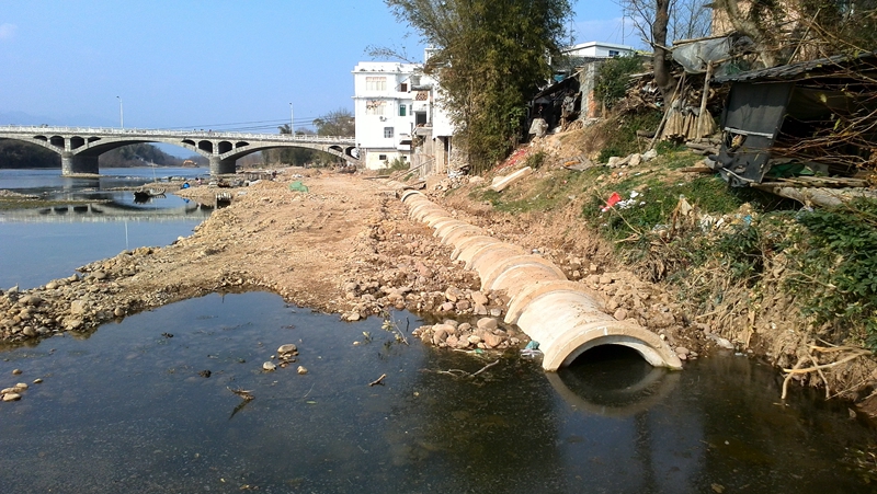 嘉会河里惊现死猪411 / 作者:Fysm / 帖子ID:100013