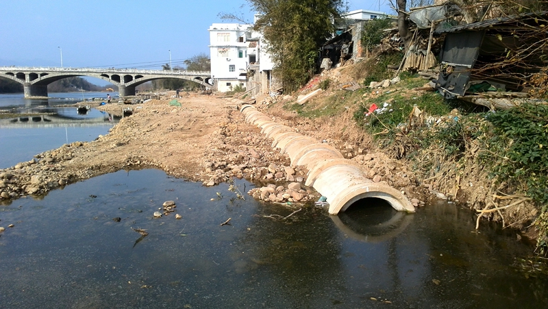 嘉会河里惊现死猪645 / 作者:Fysm / 帖子ID:100013