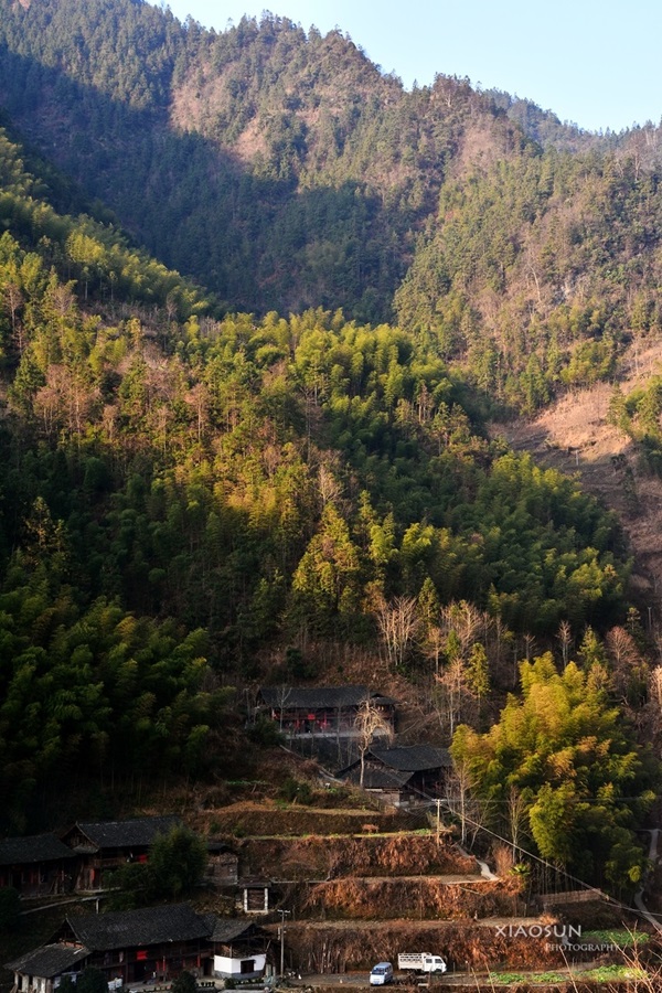 苗家春貌136 / 作者:与孤独共舞 / 帖子ID:100026