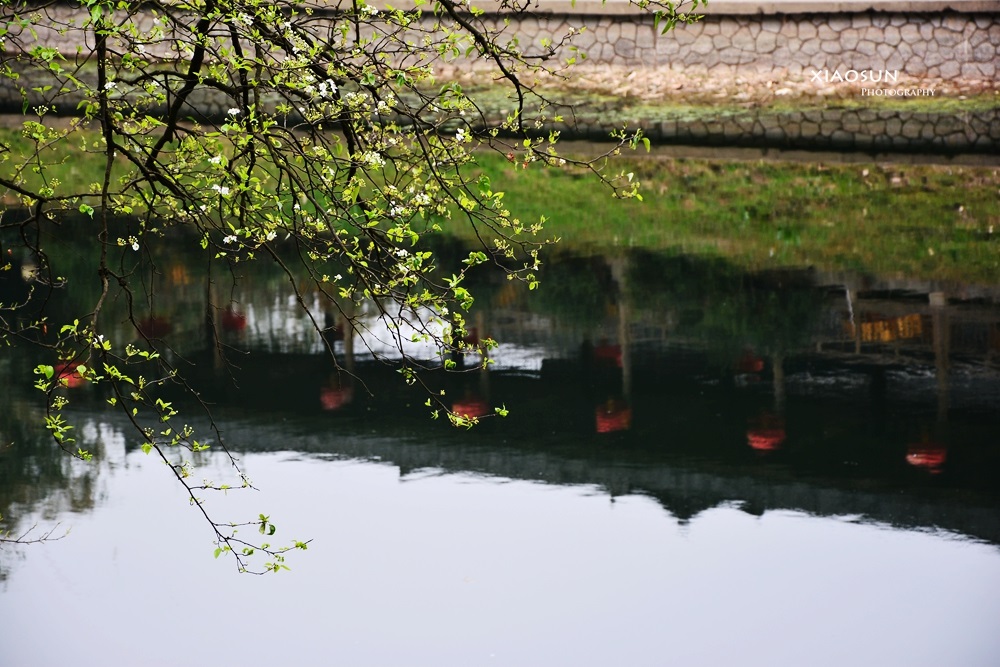 穿山即景639 / 作者:与孤独共舞 / 帖子ID:100044