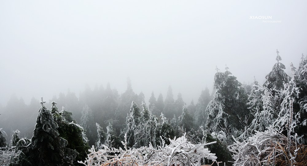 南国雪景正芬芳，赏雪何须到北国？971 / 作者:与孤独共舞 / 帖子ID:100131