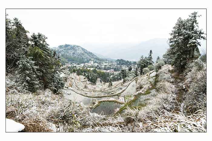 青田黄降雪景748 / 作者:小雨点 / 帖子ID:100168