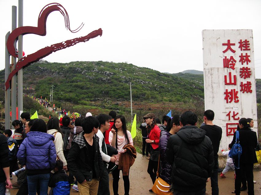 3月8--9日 恭城桃花山露营活动 召集 活动多多奖品多多！492 / 作者:超哥 / 帖子ID:100216