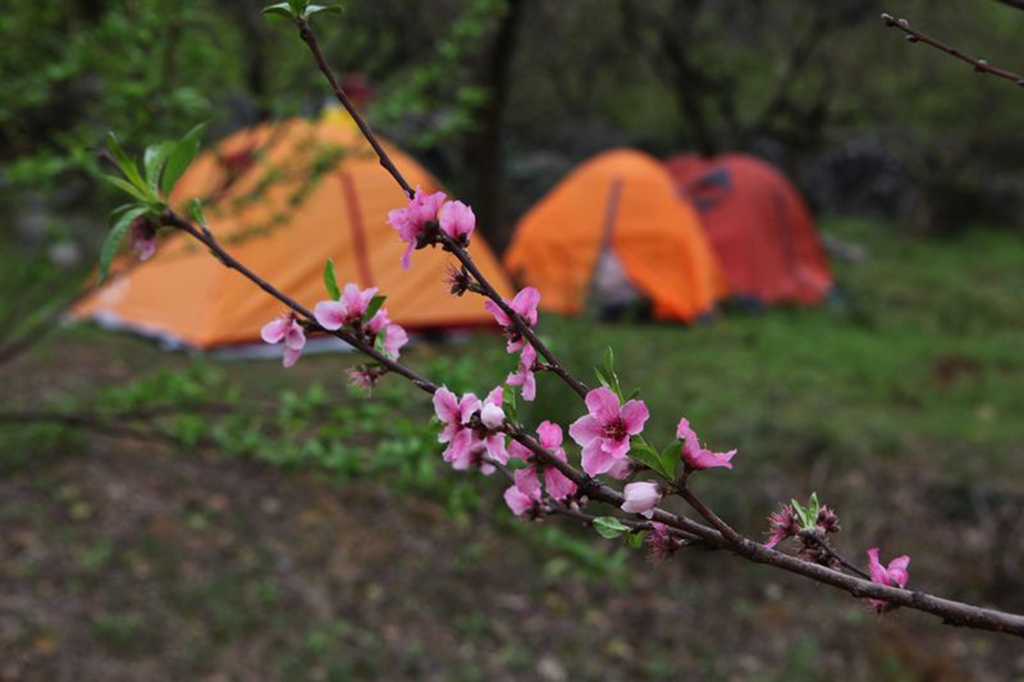 3月8--9日 恭城桃花山露营活动 召集 活动多多奖品多多！720 / 作者:admin2 / 帖子ID:100216