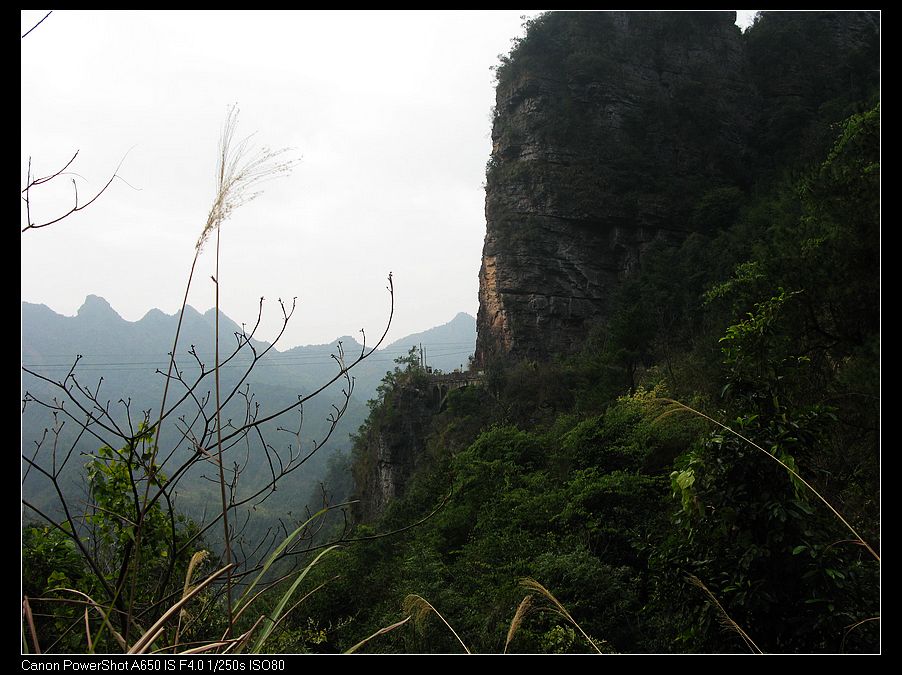 马年第一摩；瑶族-金秀-六巷乡206 / 作者:超哥 / 帖子ID:100250