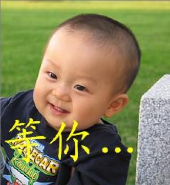 栗木龙闹元宵501 / 作者:瑶乡看兰 / 帖子ID:100229